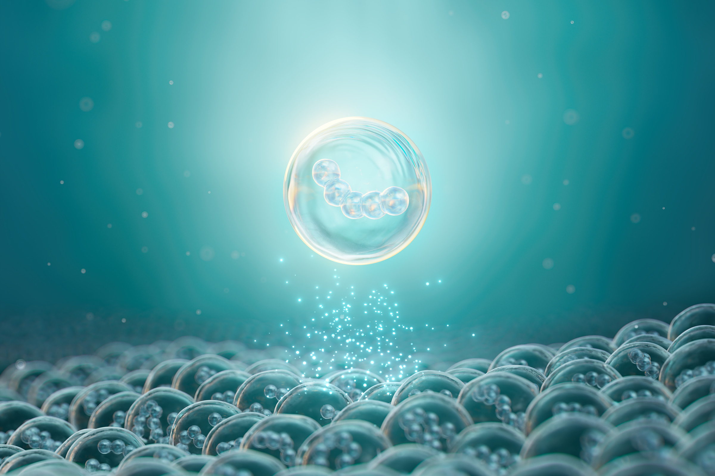 NAN immune imprinting key visual: a luminous cell releasing bacteria onto a gut cell layer