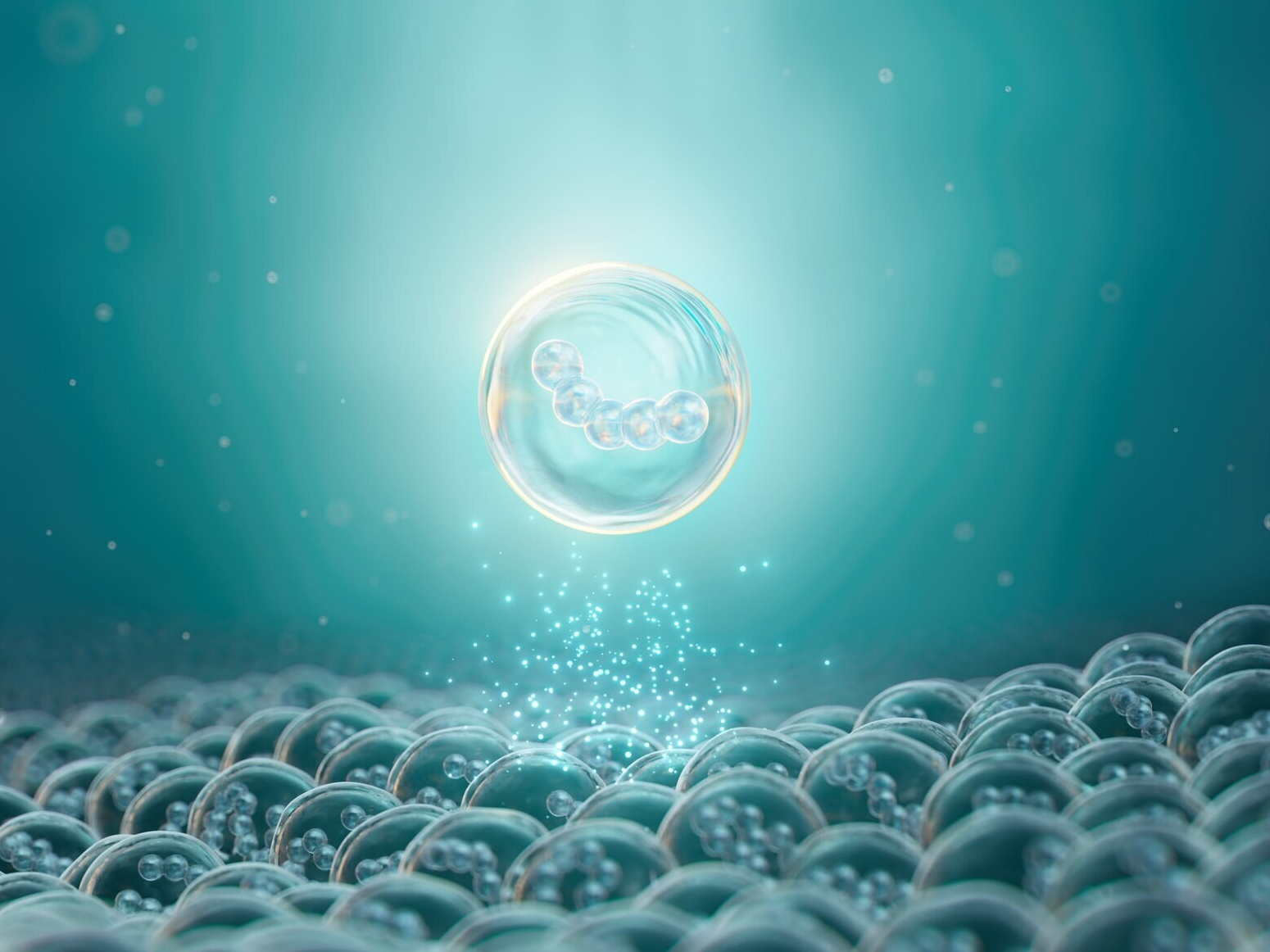 NAN immune imprinting visual